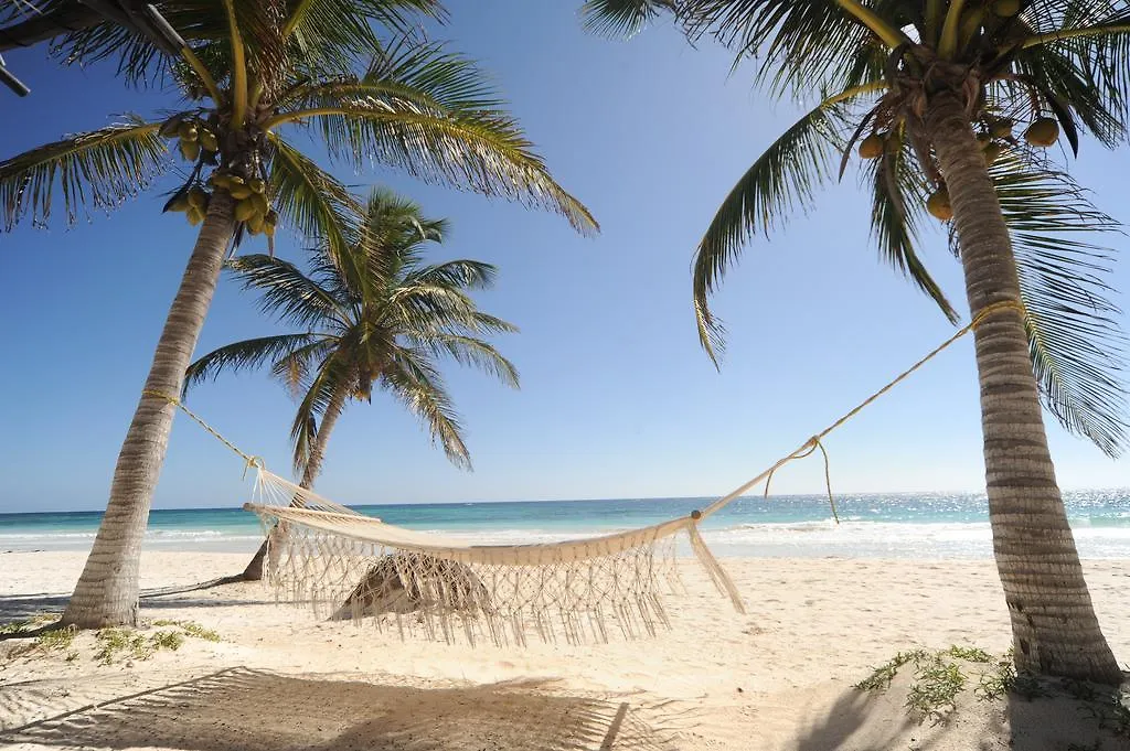 Las Ranitas Eco Boutique Hotel contacts